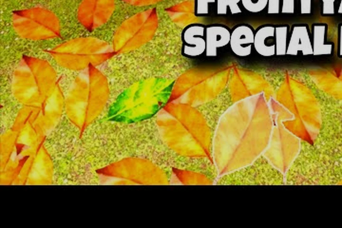 Clean all the leaves! Special Leaves & Leaf Collection